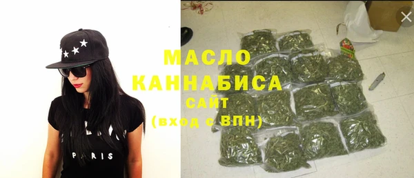 гидра Верхний Тагил