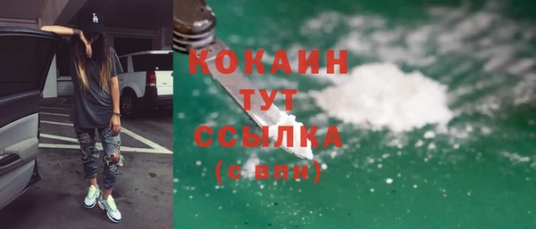 ГАЛЛЮЦИНОГЕННЫЕ ГРИБЫ Бородино