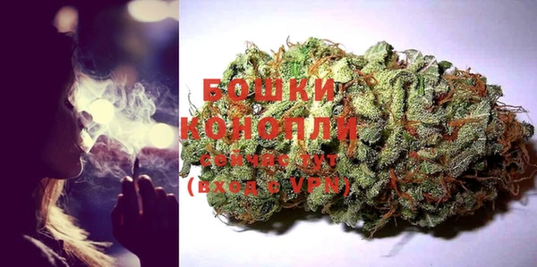 гидра Верхний Тагил