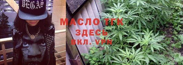 гидра Верхний Тагил